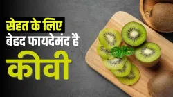 kiwi- India TV Hindi