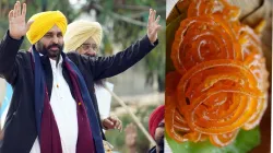 <p>Bhagwant Mann</p>- India TV Paisa