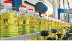 <p>palm oil </p>- India TV Paisa