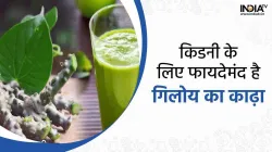  Kidney Health Tips- India TV Hindi