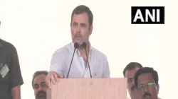 Former Congress President Rahul Gandhi- India TV Hindi