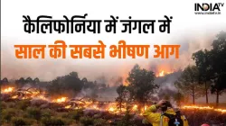 California Fire- India TV Hindi