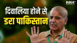 Pakistan PM Shahbaz Sharif- India TV Hindi