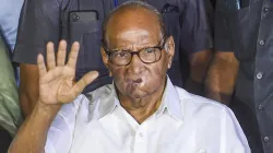 NCP chief Sharad Pawar- India TV Hindi