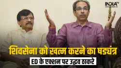 Shiv Sena President & former Maharashtra chief minister Uddhav Thackeray with party leader Sanjay Ra- India TV Hindi