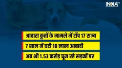 stray dogs- India TV Hindi