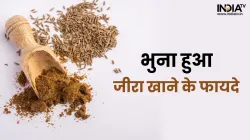 Cumin Seed: - India TV Hindi