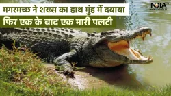 crocodile- India TV Hindi