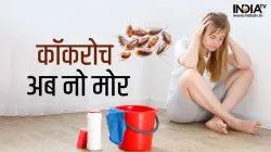 Cockroach Remedies:- India TV Hindi