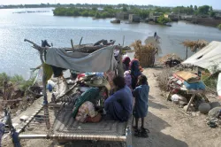 Pakistan Flood Condition- India TV Hindi