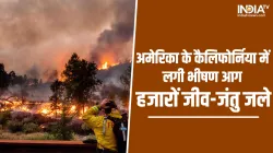 fire- India TV Hindi