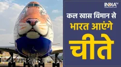 Special Flight from Namibia- India TV Hindi