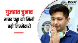 Raghav Chadha- India TV Hindi