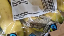 Frog England Dominican Republic, Frog England, England Frog Banana, Frog Banana Plastic Bag - India TV Hindi