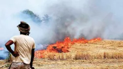 stubble burning- India TV Hindi