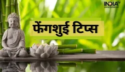 फेंगशुई- India TV Hindi