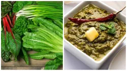 सर्दियों में खाएं ये 4 इम्यूनिटी बूस्टर साग, फेफड़े रहेंगे स्वस्थ और सर्दी-जुकाम रहेगा दूर types_of_saag- India TV Hindi