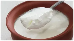 Curd_with_salt- India TV Hindi