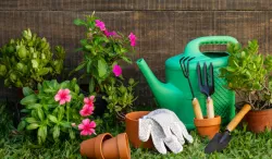 Gardening Tips- India TV Hindi