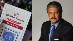 anand Mahindra- India TV Paisa