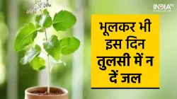 VASTU TIPS- India TV Hindi