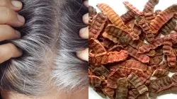 Shikakai benefits for hair - India TV Hindi