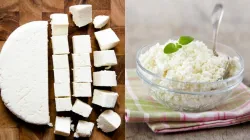 Difference between chhena and paneer- India TV Hindi