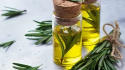 Rosemary oil benefits- India TV Hindi