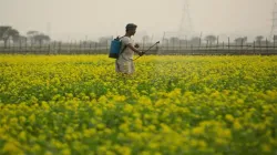 Agricultural fair organized in Hisar from March 10 to 12- India TV Hindi