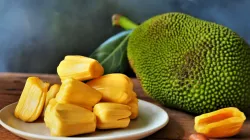 Ripe jackfruit benefits- India TV Hindi