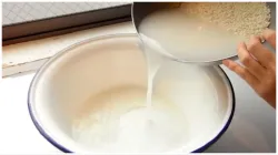 rice_water_benefits- India TV Hindi