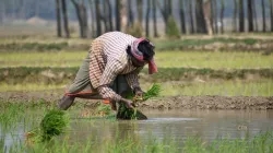 Farmers Loan, Farmers Loan Interest Rates, UP Loan Interest Rate, UP Farmers Loan- India TV Hindi