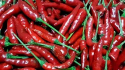 Bird eye Chilli- India TV Paisa