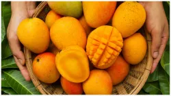 mango_in_uric_acid- India TV Hindi