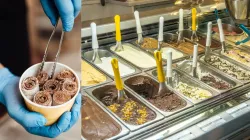 Ice cream parlour business investment details- India TV Paisa