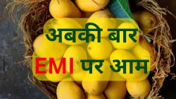 Alphonso Mango on EMI- India TV Paisa