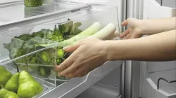 vegetables_in_fridge- India TV Hindi