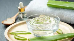 how to make aloe vera gel- India TV Hindi