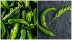 how to store green chilli- India TV Hindi