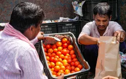 Tomato Price- India TV Paisa