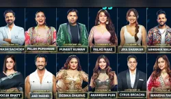 Bigg Boss OTT contestant- India TV Hindi