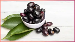 jamun_benefits_for_health- India TV Hindi