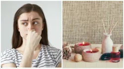 How to get rid of musty smell in house naturall- India TV Hindi