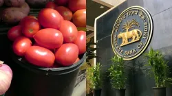 RBI Tomato- India TV Paisa