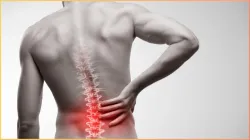  lower back pain - India TV Hindi