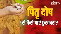 Pitra Dosh Symptoms And Remedies- India TV Hindi