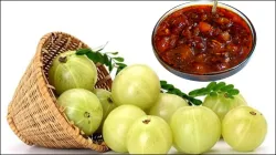 Amla Chutney- India TV Hindi