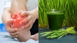 Control Uric Acid with wheatgrass- India TV Hindi