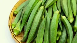 health benefits of Ladyfinger- India TV Hindi