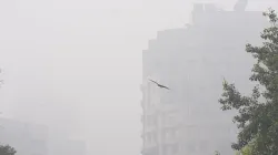 delhi fog- India TV Hindi